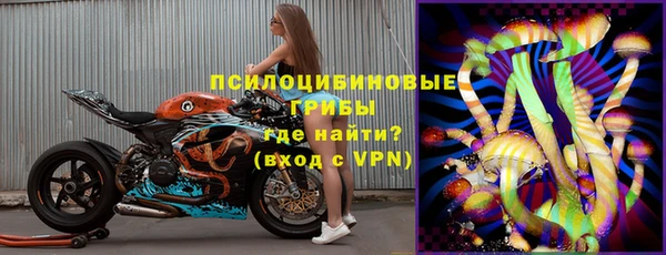 твердый Алексеевка