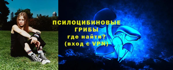 тгк Алексин