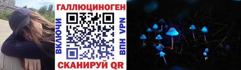 Псилоцибиновые грибы Psilocybine cubensis  Зарайск 